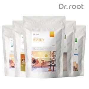 닥터루트  프리미엄 삼각티백 20T 작두콩 우엉 호박팥차 차가버섯 보이차 구기자 도라지 돼지감자 뽕잎 바나바잎 차