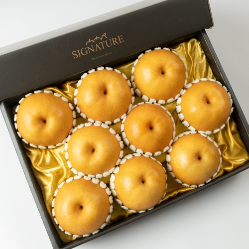 달찐과일  시그니처 최상급 나주 신고배 선물세트 9과 7.5kg