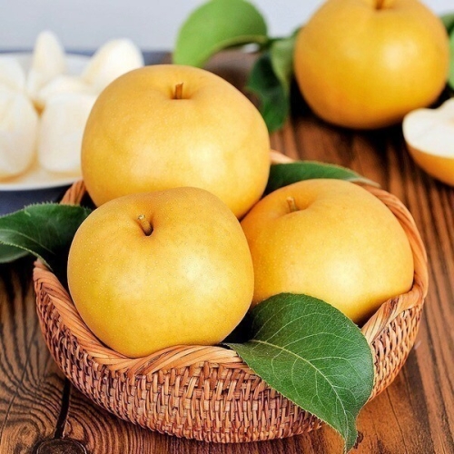 이룸팜스  나주배 가정용 11~12과 5kg