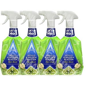 아스토니쉬 곰팡이제거제 애플버스트 750ml