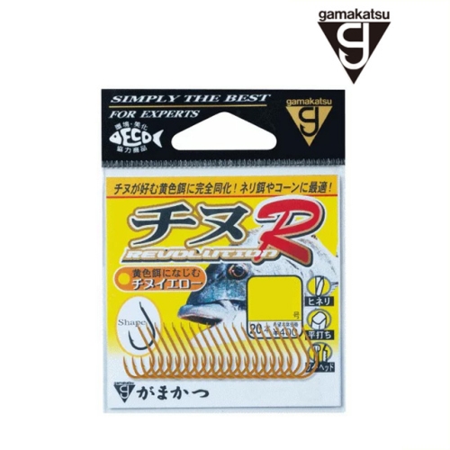 가마가츠  치누 R