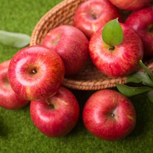 착한식탁  가정용 햇 부사 사과 중대과 5kg