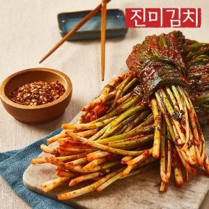 진미김치 전라도 파김치 4kg