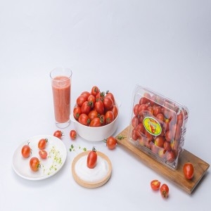 달콤마켓 대추방울토마토 2kg