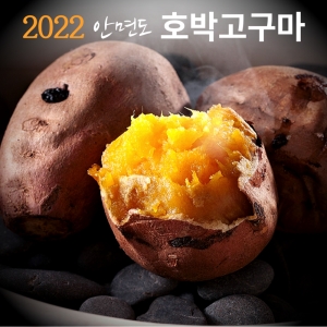 안면도 호박고구마 상 5kg