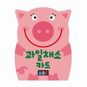블루래빗 플래시 카드