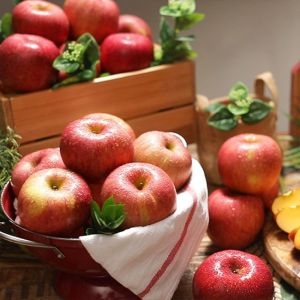 팜스토리 열매나무 못난이 사과 3kg[3개]