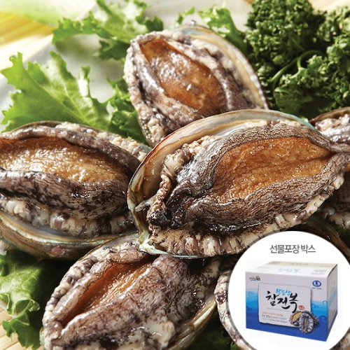 해드림수산  완도 참 전복 선물세트 10~11미 1.5kg