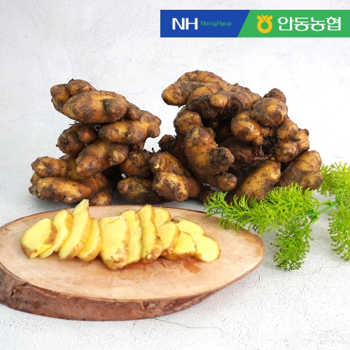 안동농협  안동 흙생강 4kg