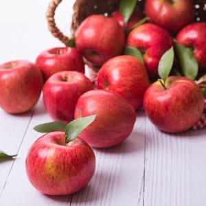 착한식탁  주스용 사과 랜덤과 10kg