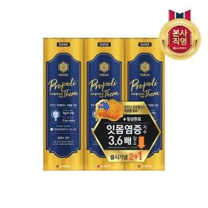 LG생활건강 페리오 프로폴리테라 클래식민트 100g