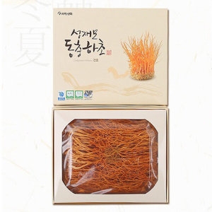 머쉬텍 성재모 동충하초 건초 50g