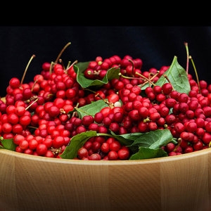 밥상이오  국내산 문경 오미자 5kg