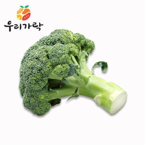 우리가락 브로콜리 8kg내외 한박스 국산