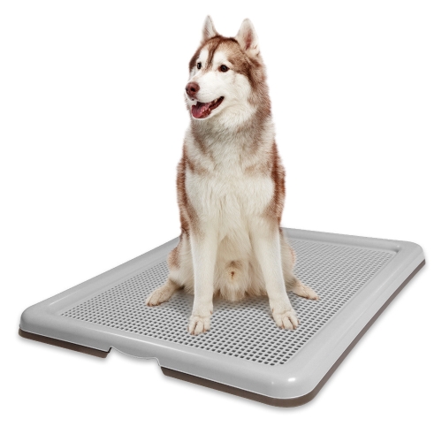 펫토리아 한판뚝딱 대형망 토일렛