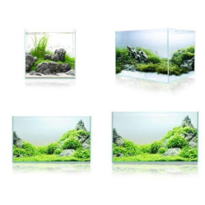 모비딕  30큐브 유리어항