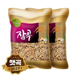 현대농산  렌틸콩 귀리혼합 20곡 10kg 5kgx2봉 2개