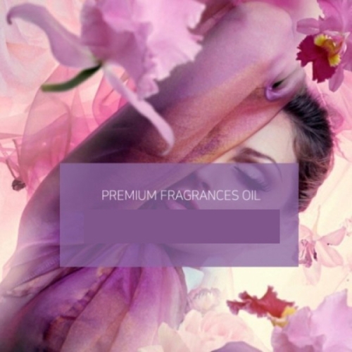 USA 구찌 러쉬2 프래그런스 오일 50ml