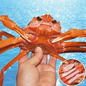 장군농수산  홍게 자숙 명품(프리미엄)형 3kg