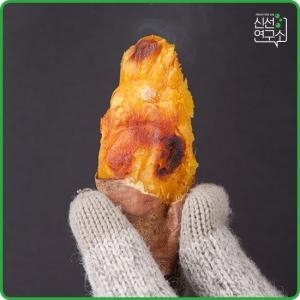신선연구소  해남 햇 꿀 밤고구마 특상급 10kg