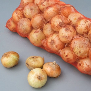 세상모든농부 햇양파 상 10kg