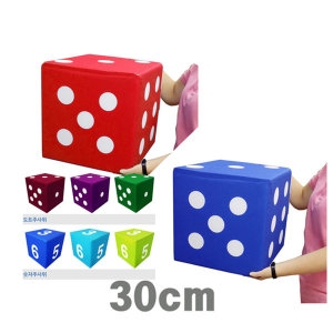 윌앤펀 윌앤펀 대형주사위40cm 색판뒤집기 게임용품 체육대회