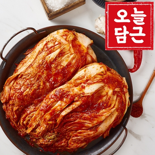 오늘담근 전라도 포기김치 10kg