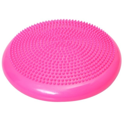 퓨어바디  프리미엄 밸런스쿠션 재활센터용