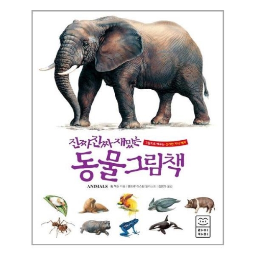 부즈펌 진짜 진짜 재밌는 그림책