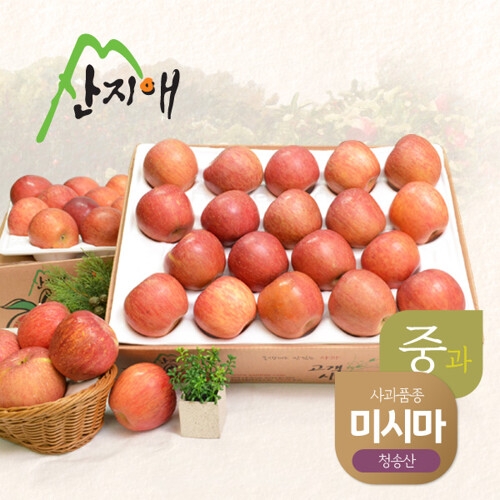 산지애  알뜰 못난이사과 중과 4.5kg