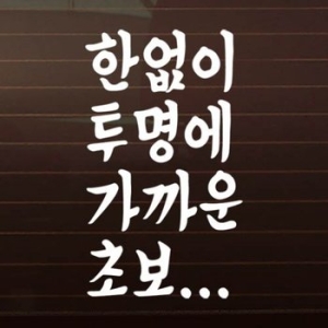 제제데코  텍스트 한없이 투명에 가까운 초보 스티커