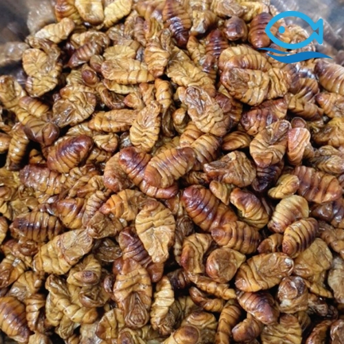 바다더해 냉동 번데기 1kg