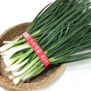 산정마을  깐쪽파 1단 1kg