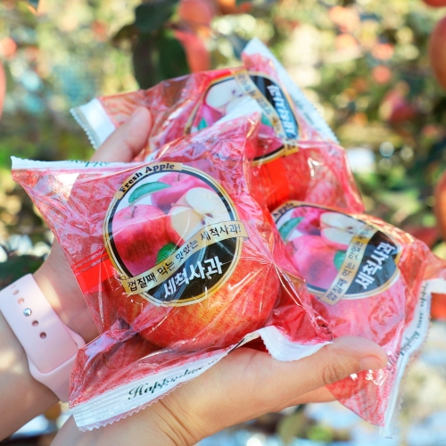 해피사과  오늘아침 세척사과 22과 220g 내외 5kg