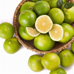 거북농산  플로리다 자몽 48과 이스라엘자몽 50과