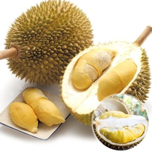 웰프레쉬  태국산 냉동 통두리안10kg