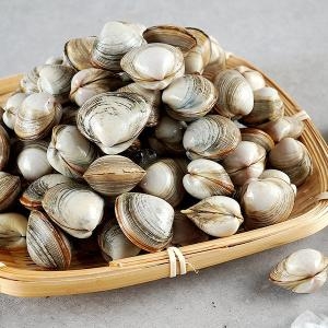 대풍수산식품  동죽 5kg