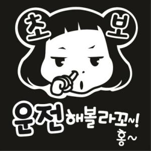 제제데코  초보 티나죠 휴 자동차스티커 초보운전 반사 시트지
