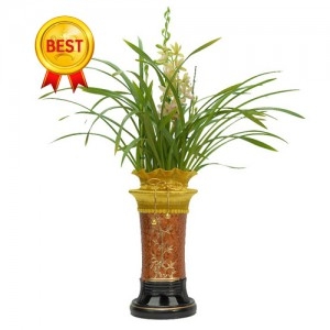 젠틀맨플라워 백운 OW-4066