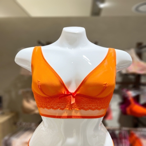 바바라 barbara 수입 캐리비안 볼륨패드 브라 BBR2201P