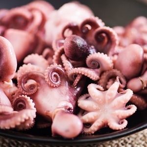 GFresh  손질 주꾸미 16-20미 + 진한낙지양념 70g 손질주꾸미