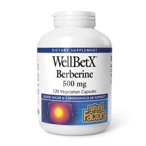 네추럴팩터스 베르베린 500mg 120캡슐