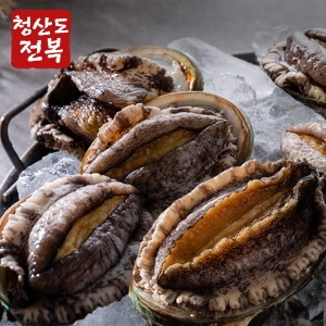 참다올  청산도 전복 실속용 20~22미 1kg