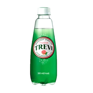 트레비 자몽 300ml