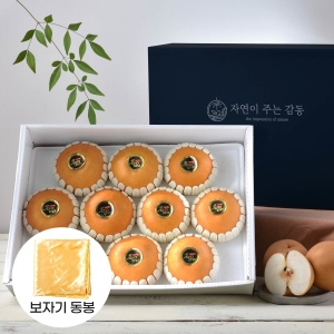 감동  청년농부 나주배 9과 고급 선물세트 7.5kg