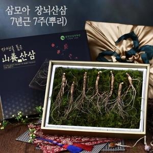 삼모아농장 삼모아 장뇌산삼 7년근산[7뿌리]