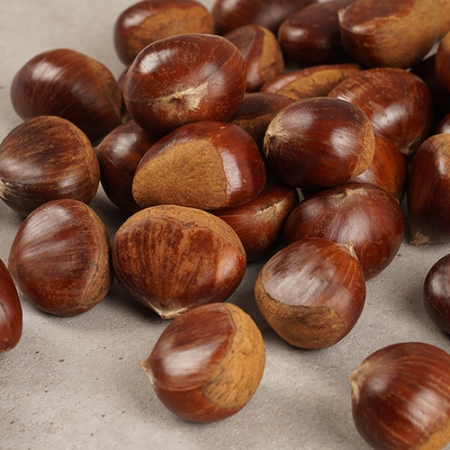 월드통상  공주 알밤 1kg