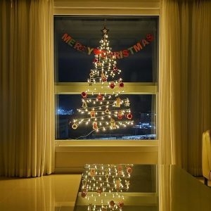 인크리코  스마트 앵두전구 100P 벽트리 풀세트 레드