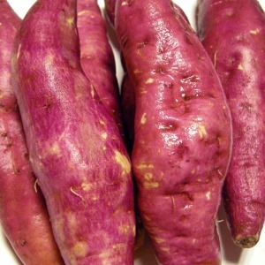 늘찬  고구마 10kg