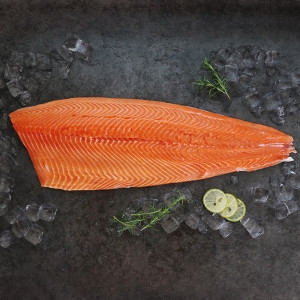 바른씨  슈페리어급 생연어 반마리 필렛 2kg